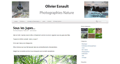 Desktop Screenshot of olivieresnault.com